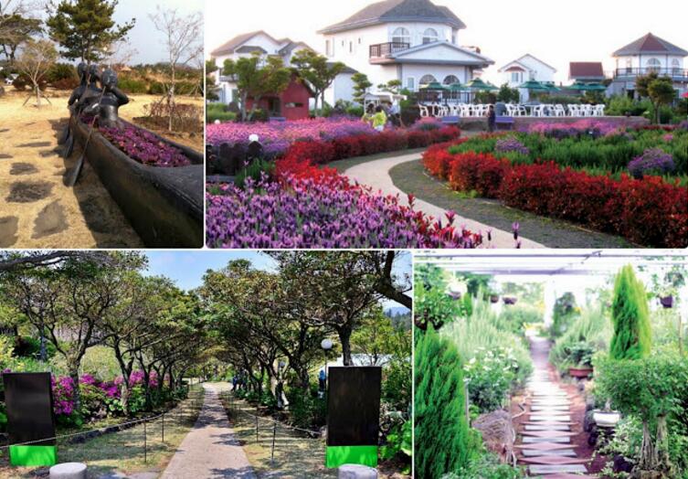 Jeju Herb Dongsan (Herb garden)